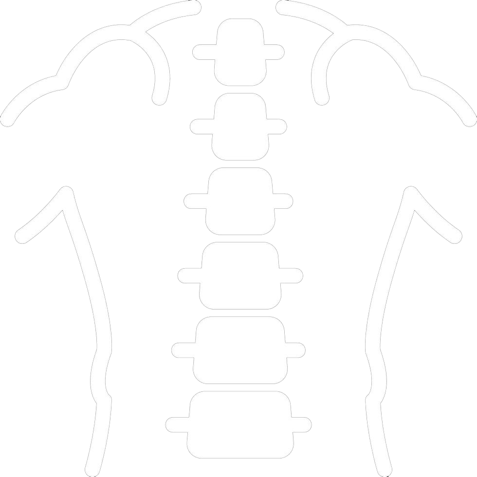 omurga görüntüsü